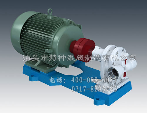 全（quán）碳鋼高壓齒輪（lún）式渣油泵